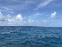 Great day of scuba diving in Key Largo with Rainbow Reef on nine channel tropical destiny 2025 06 14 r18239 1