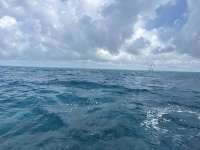 Great day of scuba diving in Key Largo with Rainbow Reef on nine channel tropical destiny 2025 06 22 r18309 1