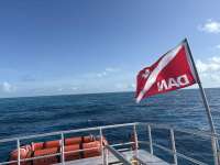 Great day of scuba diving in Key Largo with Rainbow Reef on nine channel tropical serenity 2025 06 09 r18210 1