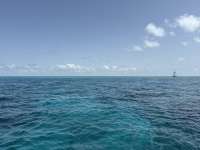 Great day of scuba diving in Key Largo with Rainbow Reef on permit ledges tropical adventure 2025 06 07 r18195 1