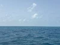 Great day of scuba diving in Key Largo with Rainbow Reef on snapper ledge tropical destiny 2025 06 28 r18349 1