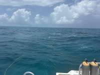 Great day of scuba diving in Key Largo with Rainbow Reef on snapper ledge tropical serenity 2025 06 12 r18227 1