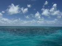 Great day of scuba diving in Key Largo with Rainbow Reef on special event tropical adventure 2025 06 22 r18310 1