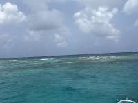 Great day of scuba diving in Key Largo with Rainbow Reef on special event tropical destiny 2025 06 27 r18341 1