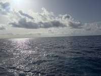 Great day of scuba diving in Key Largo with Rainbow Reef on uscgc duane tropical serenity 2025 06 08 r18201 1