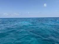Great day of scuba diving in Key Largo with Rainbow Reef on city of washington tropical serenity 2025 03 09 r17663 1