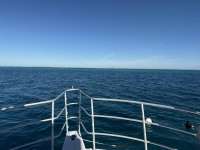 Great day of scuba diving in Key Largo with Rainbow Reef on logans run tropical serenity 2025 03 07 r17647 1