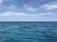 Great day of scuba diving in Key Largo with Rainbow Reef on mikes wreck tropical destiny 2025 03 17 r17703 1