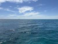Great day of scuba diving in Key Largo with Rainbow Reef on mikes wreck tropical odyssey 2025 03 21 r17731 1