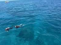 Great day of scuba diving in Key Largo with Rainbow Reef on nine channel tropical legend 2025 03 26 r17759 1
