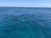 Great day of scuba diving in Key Largo with Rainbow Reef on nine channel tropical legend 2025 03 26 r17760 2