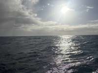 Great day of scuba diving in Key Largo with Rainbow Reef on north star tropical destiny 2025 03 30 r17768 1