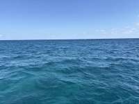 Great day of scuba diving in Key Largo with Rainbow Reef on north star tropical serenity 2025 03 03 r17637 1