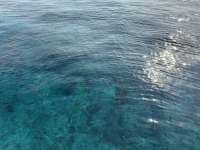 Great day of scuba diving in Key Largo with Rainbow Reef on permit ledges tropical legend 2025 03 25 r17752 2