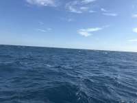 Great day of scuba diving in Key Largo with Rainbow Reef on spiegel grove tropical odyssey 2025 03 21 r17725 1