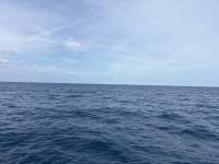 Great day of scuba diving in Key Largo with Rainbow Reef on spiegel grove tropical odyssey 2025 03 23 r17742 1