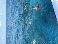Great day of scuba diving in Key Largo with Rainbow Reef on aquarium tropical adventure 2025 05 26 r18119 1