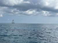 Great day of scuba diving in Key Largo with Rainbow Reef on aquarium tropical serenity 2025 05 23 r18089 1