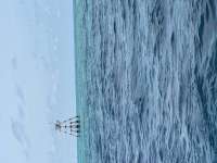 Great day of scuba diving in Key Largo with Rainbow Reef on aquarium tropical serenity 2025 05 29 r18136 1