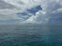 Great day of scuba diving in Key Largo with Rainbow Reef on christ statue tropical adventure 2025 05 23 r18095 1