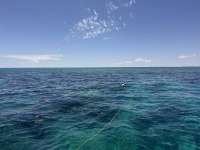 Great day of scuba diving in Key Largo with Rainbow Reef on christ statue tropical serenity 2025 05 14 r18019 1