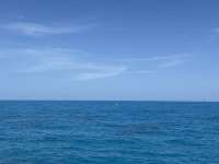 Great day of scuba diving in Key Largo with Rainbow Reef on christ statue tropical serenity 2025 05 18 r18060 1