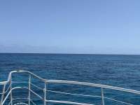 Great day of scuba diving in Key Largo with Rainbow Reef on city of washington tropical legend 2025 05 16 r18040 1