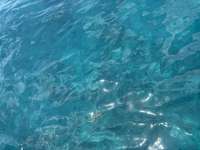 Great day of scuba diving in Key Largo with Rainbow Reef on city of washington tropical odyssey 2025 05 17 r18051 1