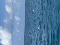 Great day of scuba diving in Key Largo with Rainbow Reef on crf nursery tropical adventure 2025 05 27 r18126 1