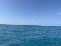 Great day of scuba diving in Key Largo with Rainbow Reef on crf nursery tropical adventure 2025 05 28 r18129 1