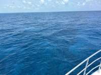 Great day of scuba diving in Key Largo with Rainbow Reef on drift conch wall tropical serenity 2025 05 17 r18048 1