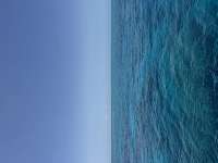 Great day of scuba diving in Key Largo with Rainbow Reef on drift french tropical destiny 2025 05 16 r18037 1