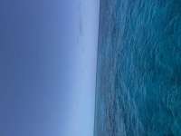 Great day of scuba diving in Key Largo with Rainbow Reef on drift french tropical destiny 2025 05 16 r18037 4