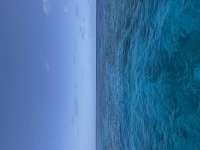 Great day of scuba diving in Key Largo with Rainbow Reef on drift french tropical destiny 2025 05 16 r18038 2