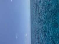 Great day of scuba diving in Key Largo with Rainbow Reef on drift french tropical destiny 2025 05 16 r18038 3
