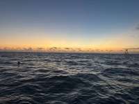 Great day of scuba diving in Key Largo with Rainbow Reef on eagle ray alley tropical destiny 2025 05 06 r17981 1
