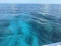 Great day of scuba diving in Key Largo with Rainbow Reef on eagle ray alley tropical destiny 2025 05 22 r18081 1