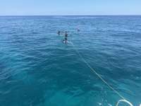 Great day of scuba diving in Key Largo with Rainbow Reef on molasses reef tropical destiny 2025 05 22 r18086 1