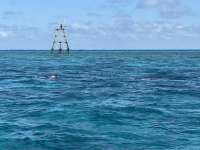 Great day of scuba diving in Key Largo with Rainbow Reef on molasses reef tropical serenity 2025 05 21 r18073 1