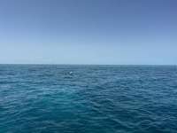 Great day of scuba diving in Key Largo with Rainbow Reef on nine channel tropical serenity 2025 05 16 r18036 1