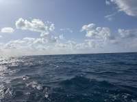 Great day of scuba diving in Key Largo with Rainbow Reef on north star tropical legend 2025 05 01 r17947 1
