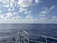 Great day of scuba diving in Key Largo with Rainbow Reef on spiegel grove tropical legend 2025 05 16 r18031 1