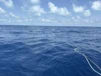 Great day of scuba diving in Key Largo with Rainbow Reef on spiegel grove tropical legend 2025 05 16 r18034 1
