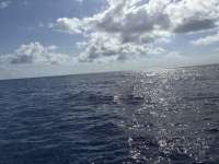 Great day of scuba diving in Key Largo with Rainbow Reef on spiegel grove tropical serenity 2025 05 18 r18056 1