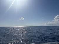 Great day of scuba diving in Key Largo with Rainbow Reef on spiegel grove tropical serenity 2025 05 19 r18061 1