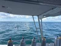 Great day of scuba diving in Key Largo with Rainbow Reef on benwood wreck tropical legend 2025 11 09 r19179 1