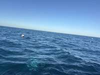 Great day of scuba diving in Key Largo with Rainbow Reef on benwood wreck tropical serenity 2025 11 17 r19212 1