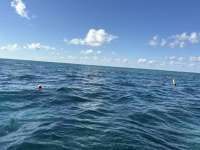Great day of scuba diving in Key Largo with Rainbow Reef on christ statue tropical odyssey 2025 11 21 r19230 1