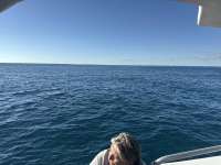 Great day of scuba diving in Key Largo with Rainbow Reef on christ statue tropical serenity 2025 11 16 r19211 1