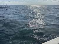 Great day of scuba diving in Key Largo with Rainbow Reef on christ statue tropical serenity 2025 11 24 r19249 1